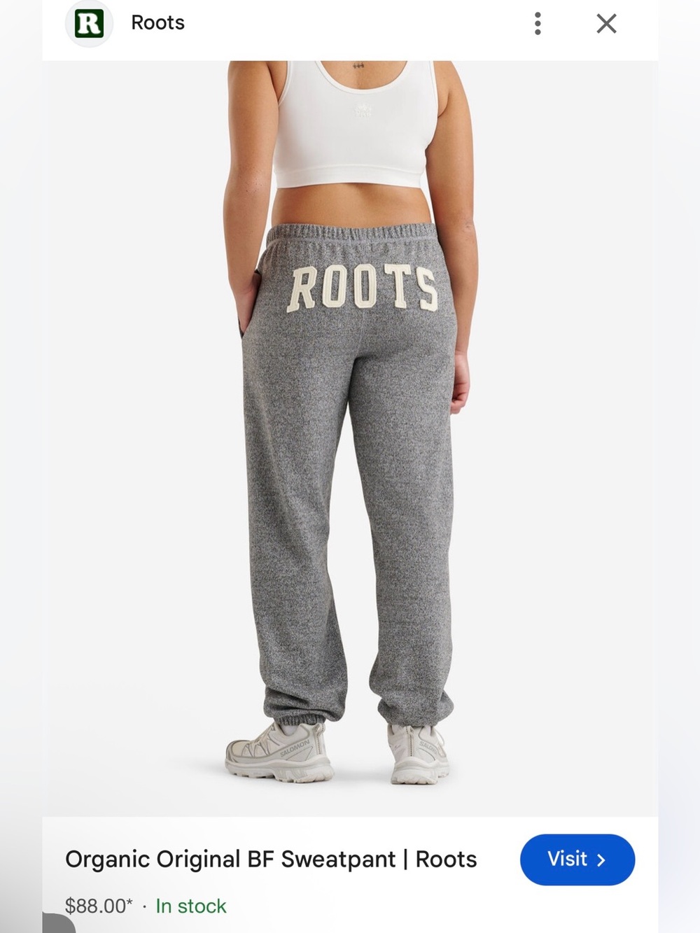 Roots Gray Logo Sweatpants